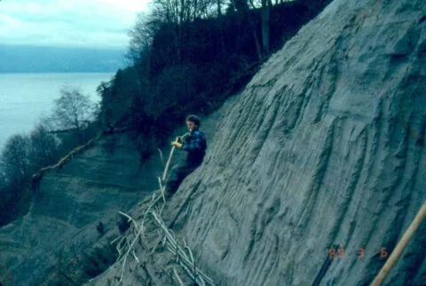 Soil bioengineering installation on a steep eroding coastal bluff in British Columbia, 1989