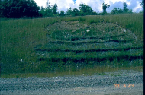 Established live reinforced earth wall on a highway slope