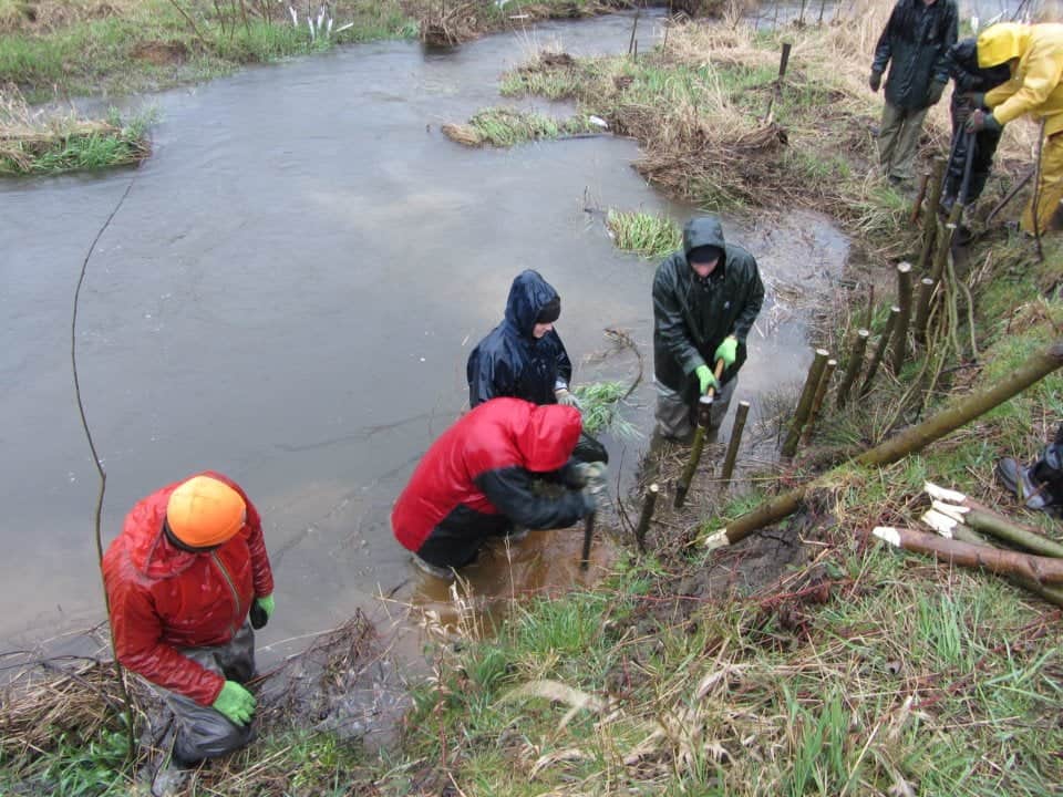 Field crew installing live stakes during a PES training course in Yarrow, British Columbia