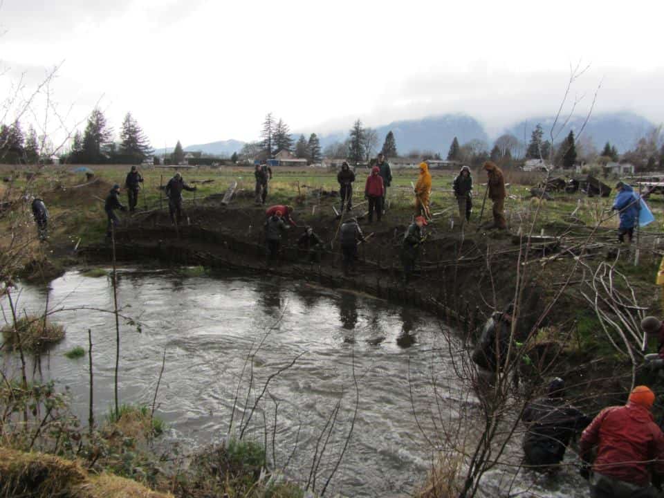 Training crew working along a streambank during a PES soil bioengineering course in Yarrow, British Columbia