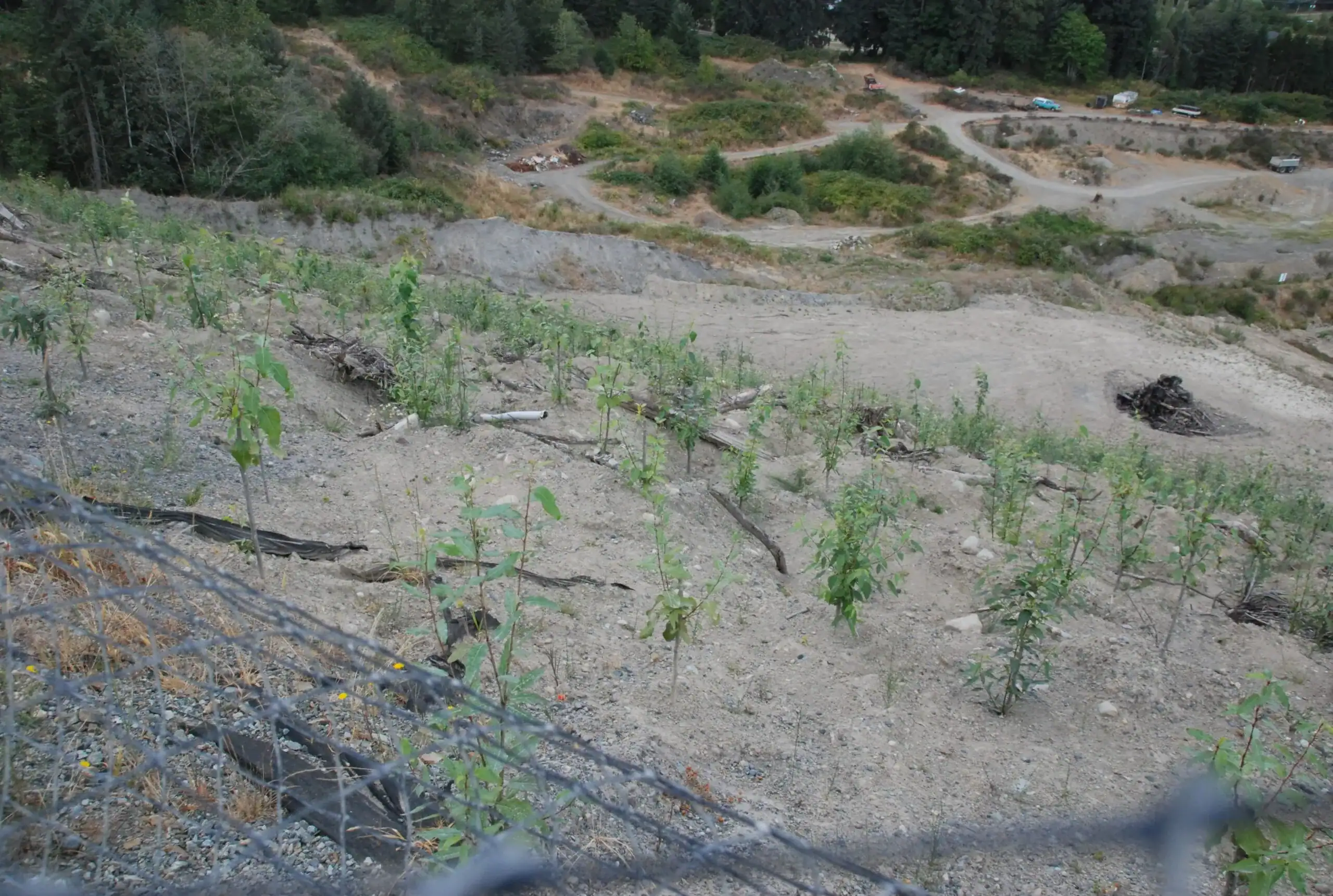 Oil, Gas & Linear Disturbance Reclamation field example