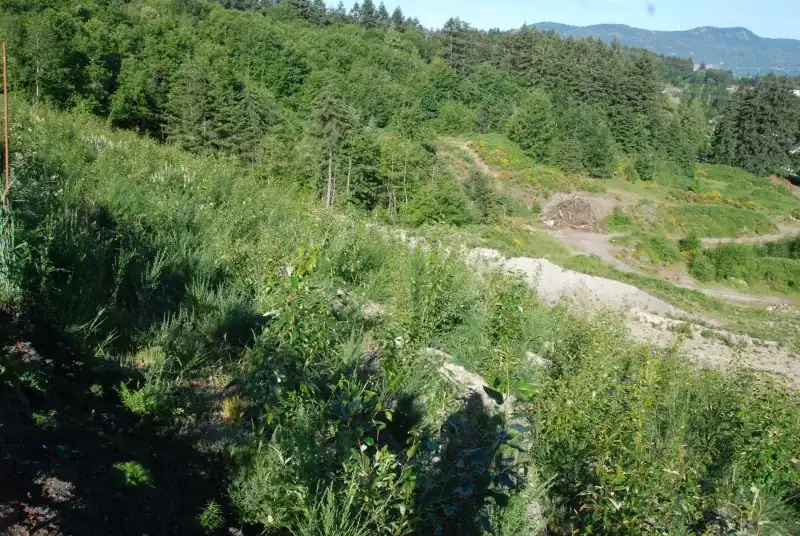 Field monitoring of vegetation establishment at the Butler Bros reclamation area