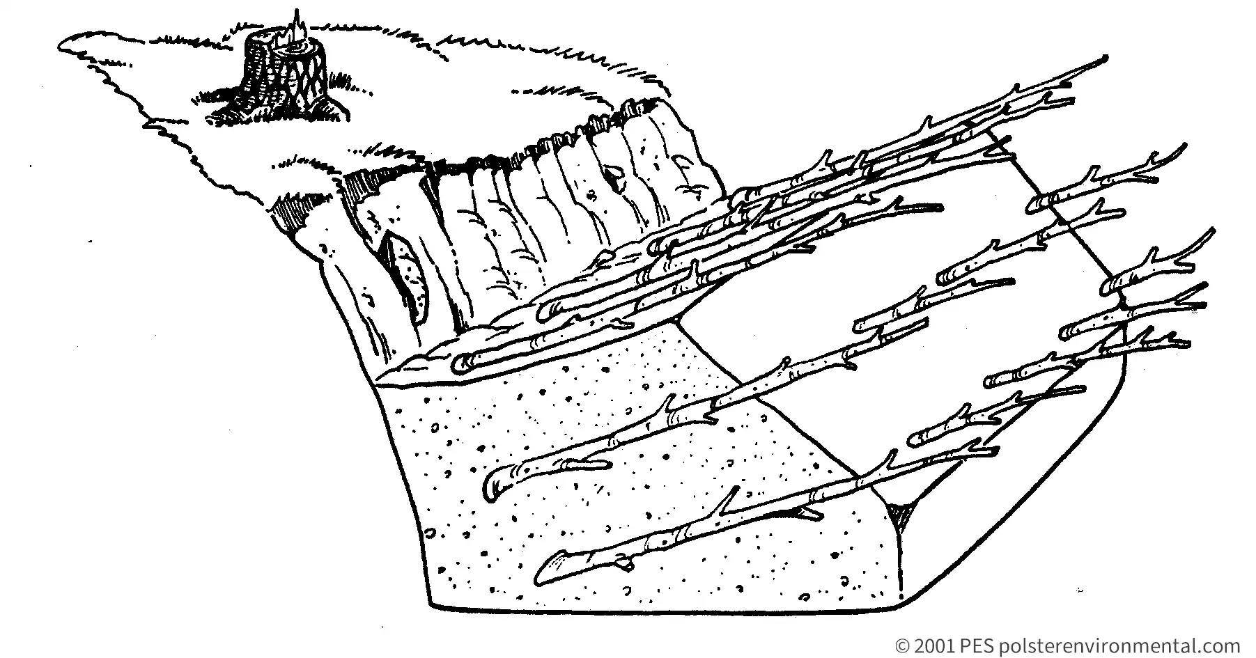 Brush layer cross-section diagram, cut slope and fill slope installation