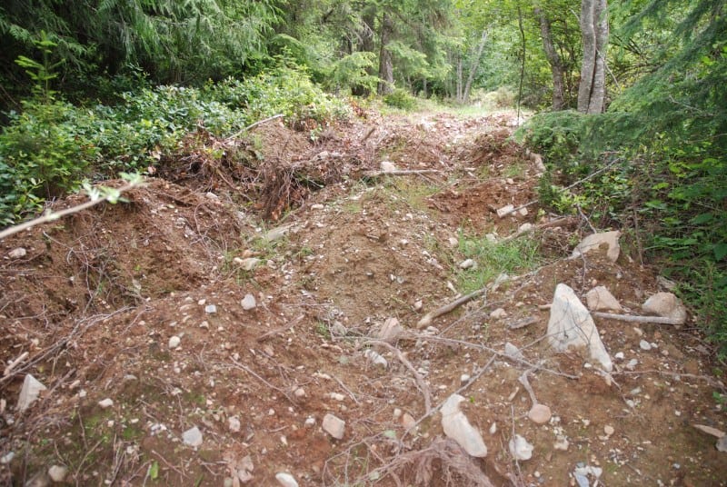 Eroded off-road vehicle trail at Fort Shephard before ecological restoration