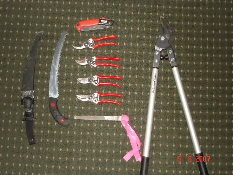 Silky Zubat saw, Felco pruners and Bahco loppers used for harvesting bioengineering cuttings