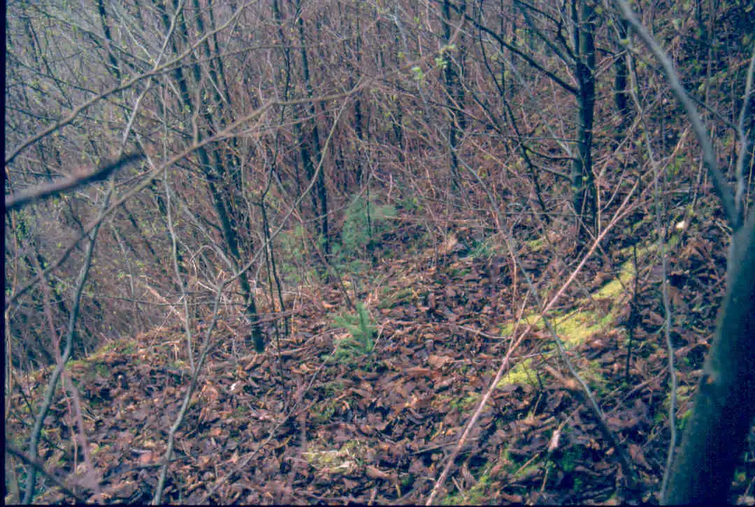 Continued Monitoring UBC Slopes, March 25, 1999