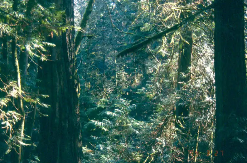 Long-Term Stability Confirmed UBC Slopes, March 25, 1999