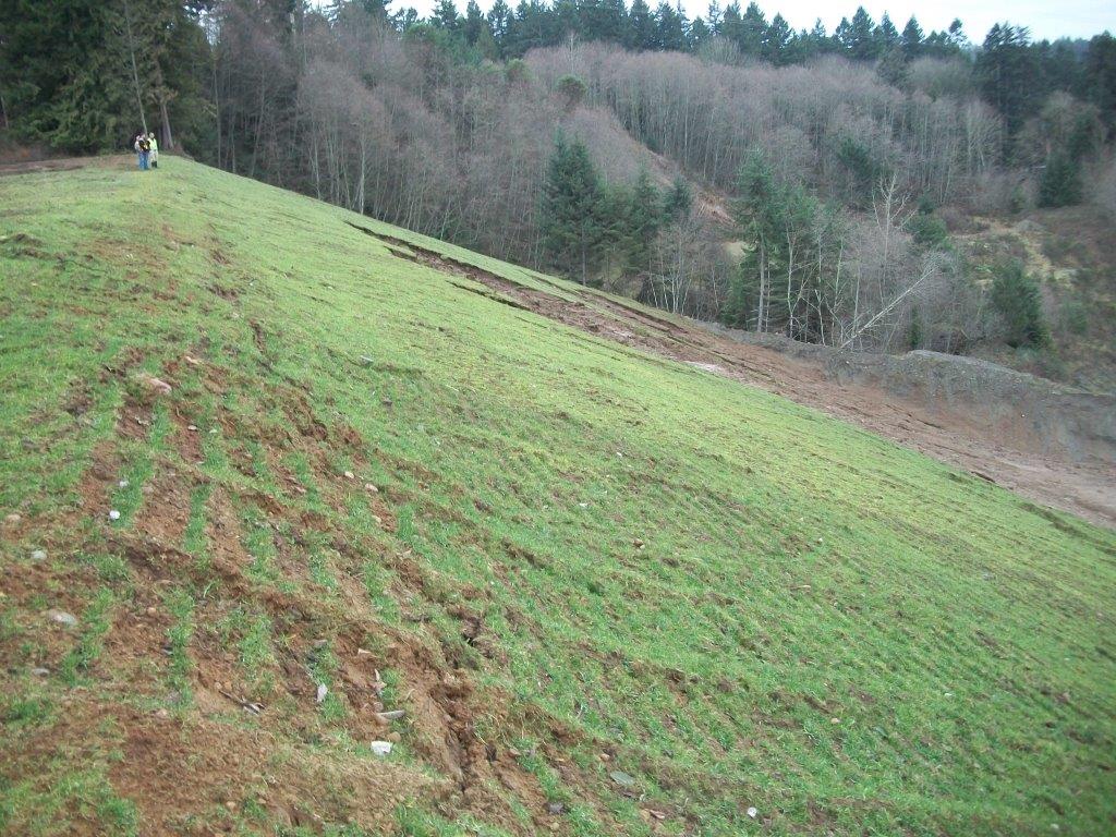 Active slope instability and rill erosion before bioengineering at Butler Bros gravel pit