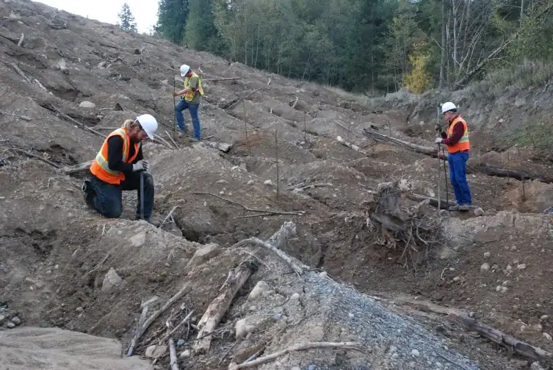 PES crew installing live staking and bioengineering on Butler Bros slope BC