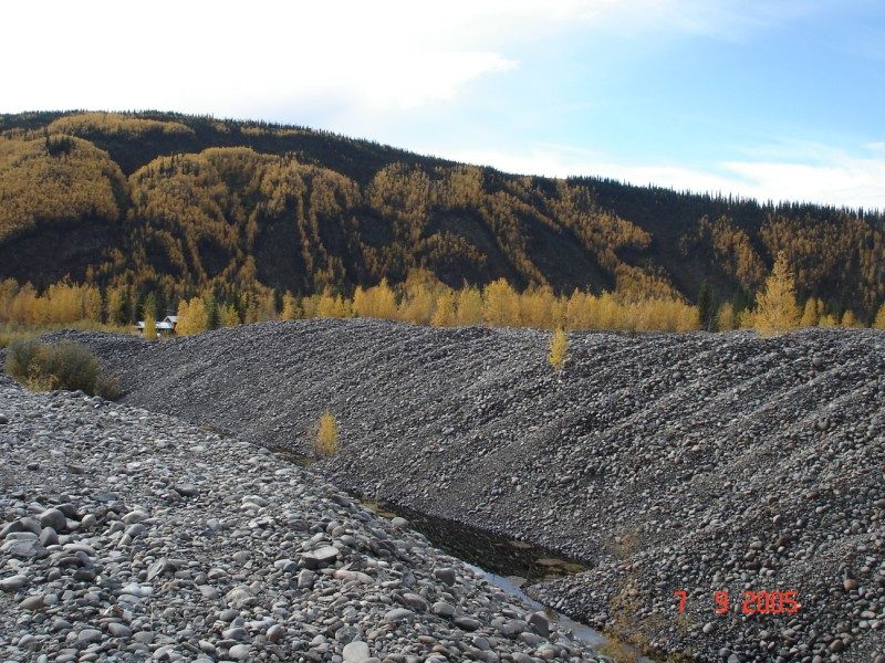 Bare placer-mined gravel bar before live gravel bar staking.