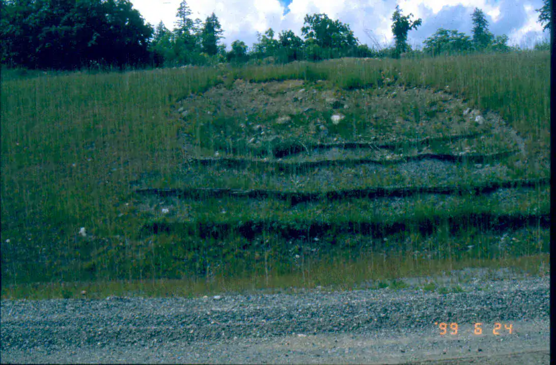 Live reinforced earth wall showing vegetation establishment across horizontal slope structures