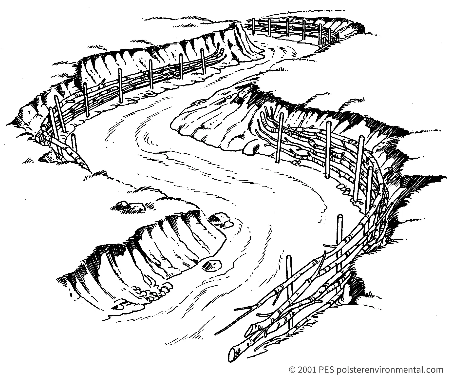 Watermarked line diagram by David Polster: live bank protection structure along an eroding streambank.
