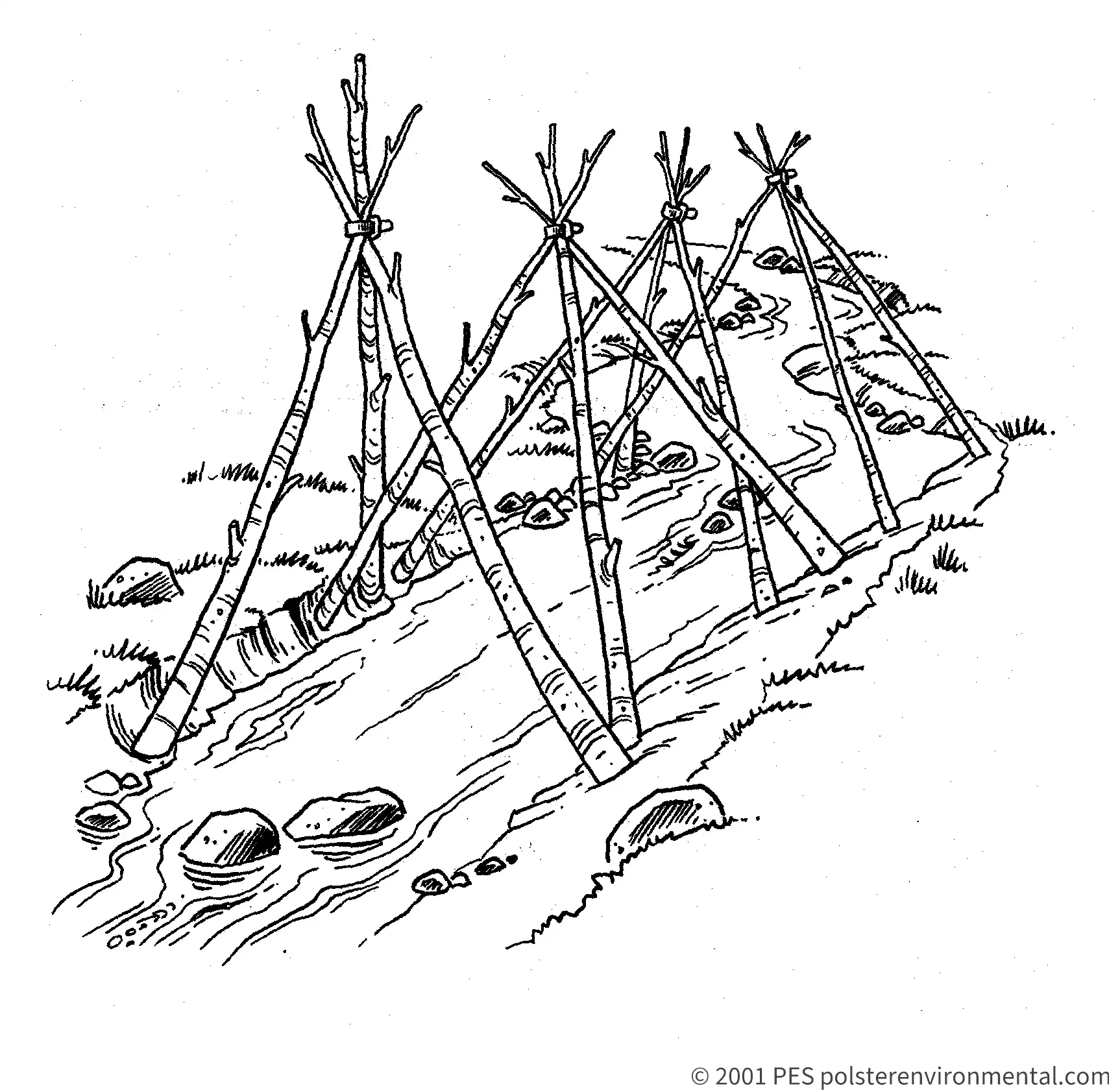 Watermarked line diagram by David Polster: live shade tripods spanning a small fish channel.