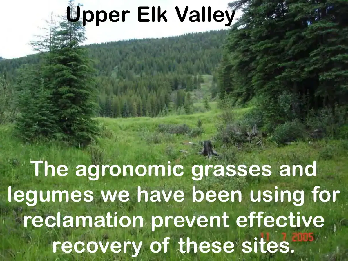 Slide from David Polster's presentation on the role of seeding in reclamation.