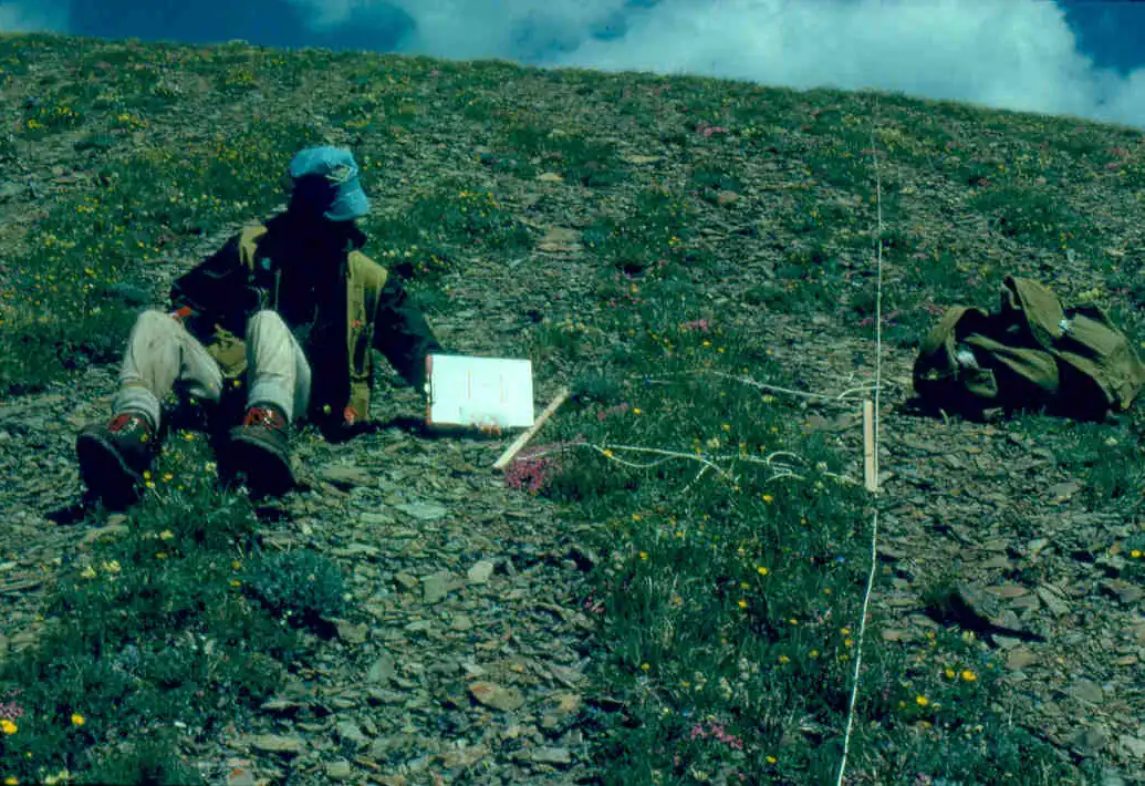 Graduate field research in alpine terrain