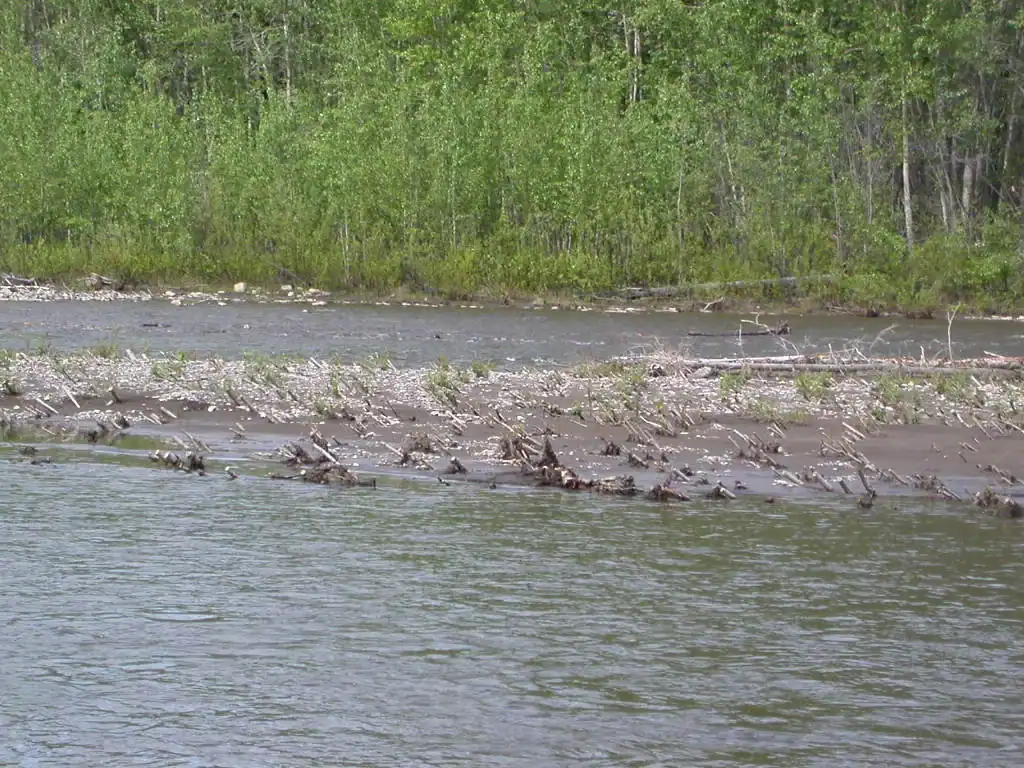 Klondike River at Germaine Creek, June 3, 2005