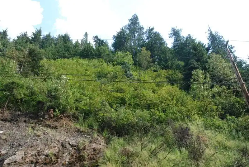 Slope Stabilization & Erosion Repair field example