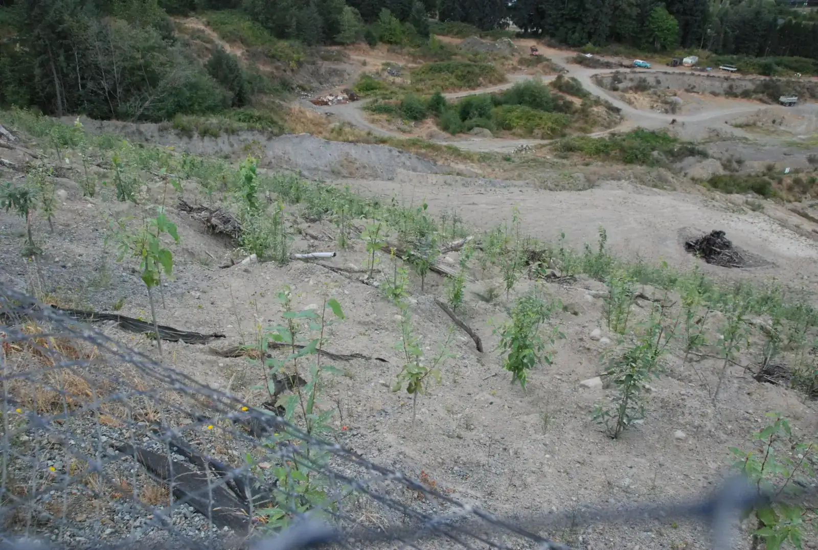 Excavator creating rough and loose surface configuration on the Butler Bros gravel pit slope