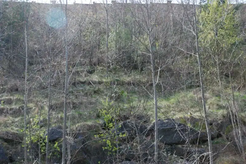 March 23, 2010