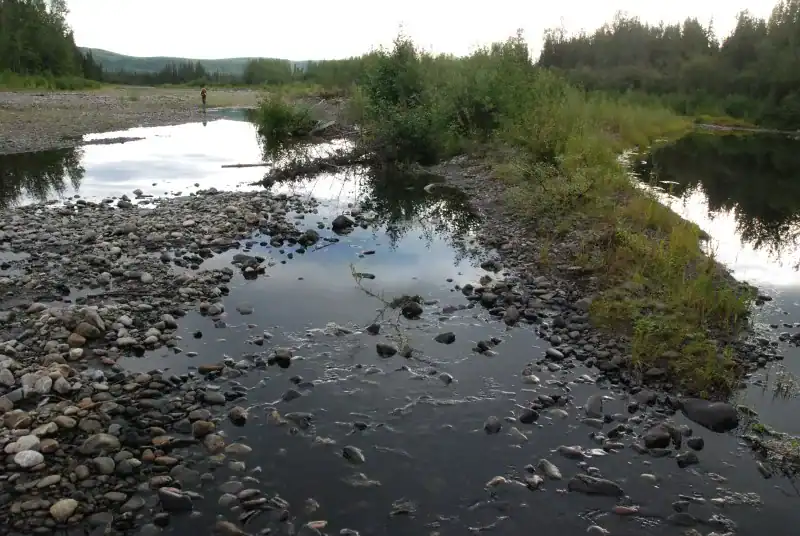 Germaine Creek, Klondike River: Gravel Bar Staking representative dated field image