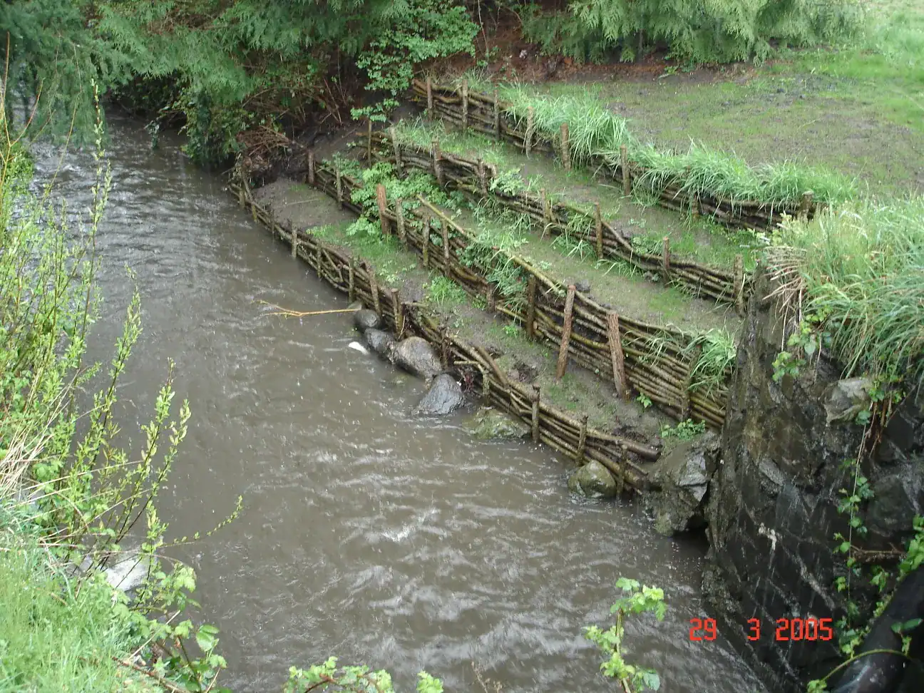 image3 Wattle fence terracing on streambank, Highway bioengineering project BC, 2005