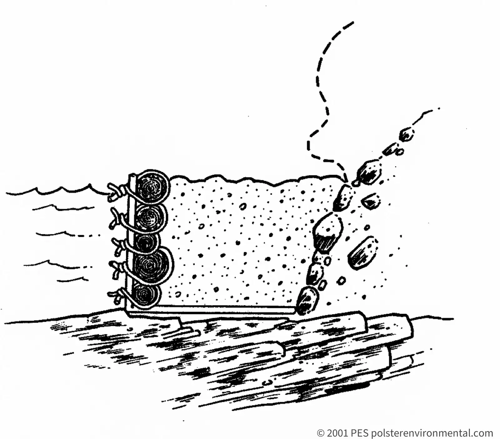 Live bank protection diagram showing living structure, backfill, and toe protection.
