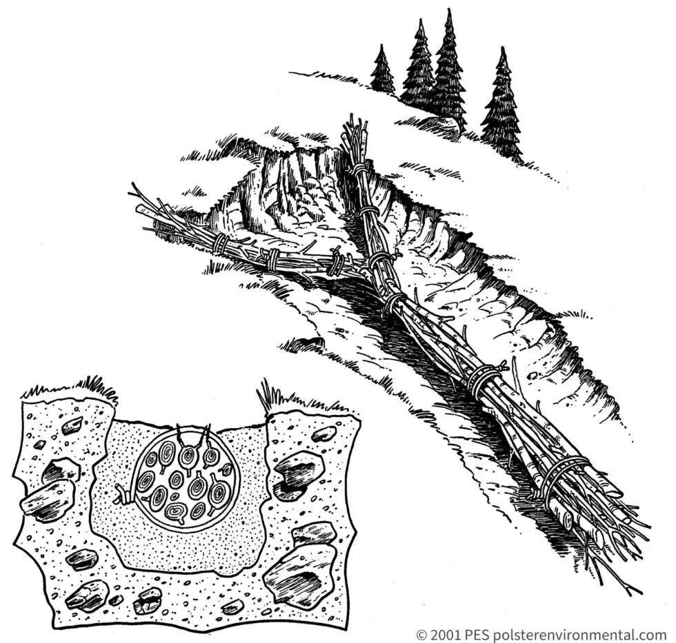 David Polster field drawing of a bundled live pole drain placed in a trench to carry seepage through an unstable slope