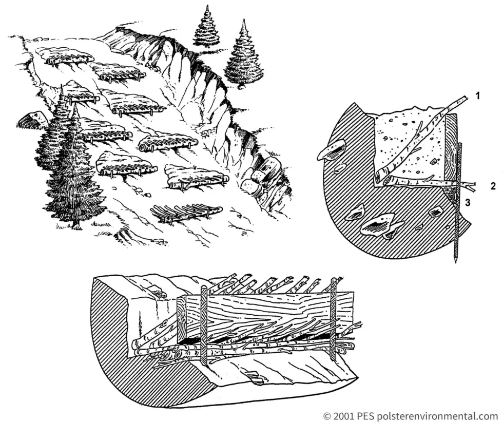 David Polster field drawing of modified brush layers installed as protected benches across dry raveling ground