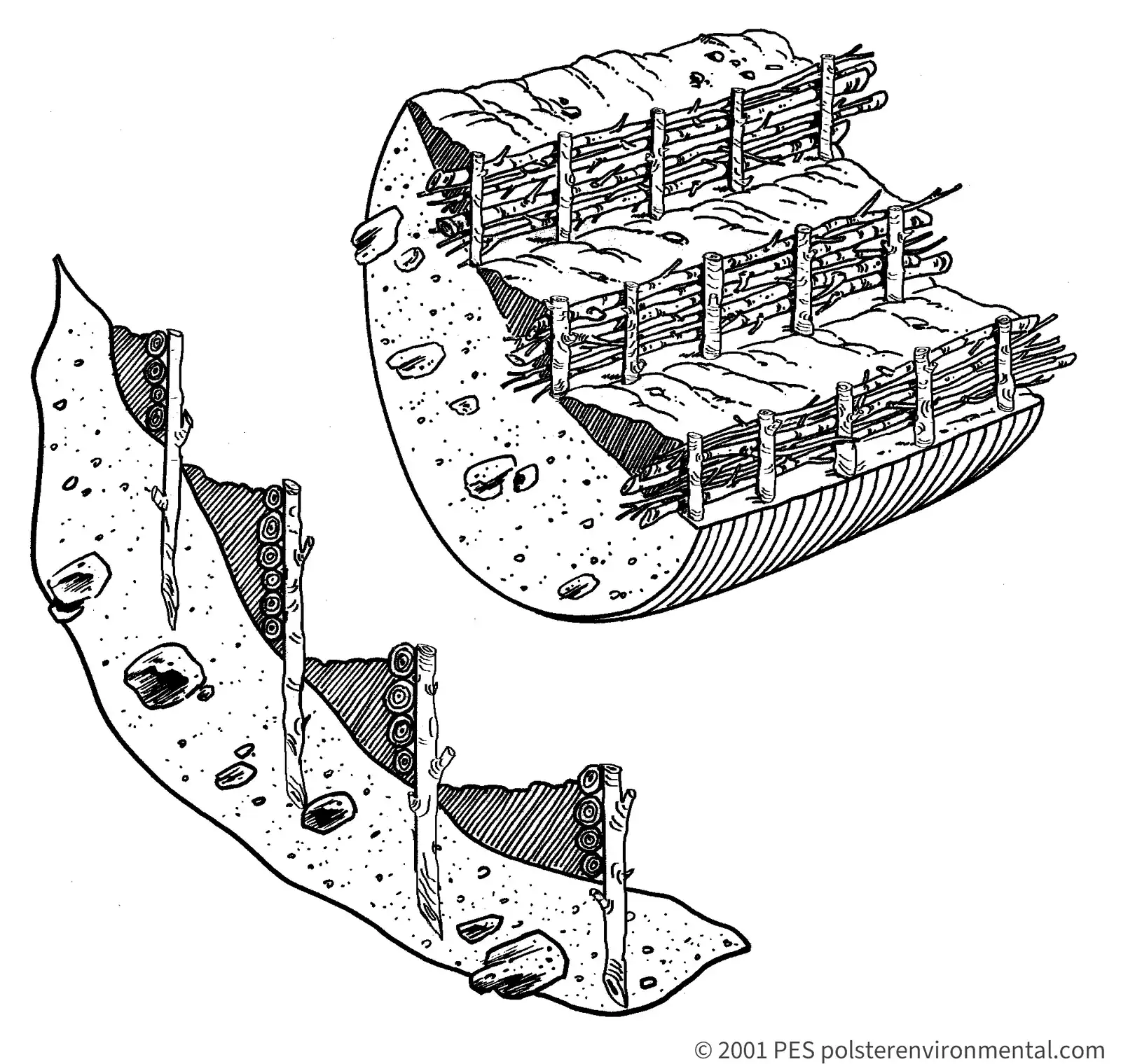 Watermarked line diagram by David Polster: wattle fence terracing on an oversteepened slope.