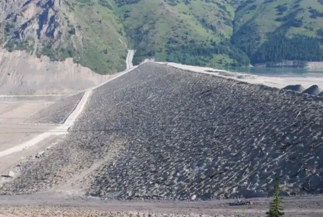 Photograph 1. Compaction on this waste rock dump platform has resulted in reduced growth rates for these plant