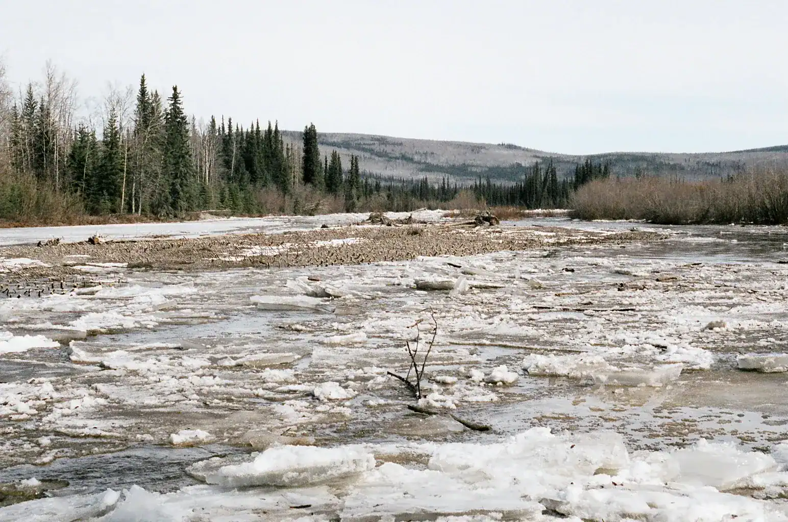 Klondike River at Germaine Creek, Break-up, 2005