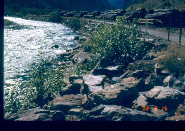 Early pocket-planting condition along the Seaton River rock bank