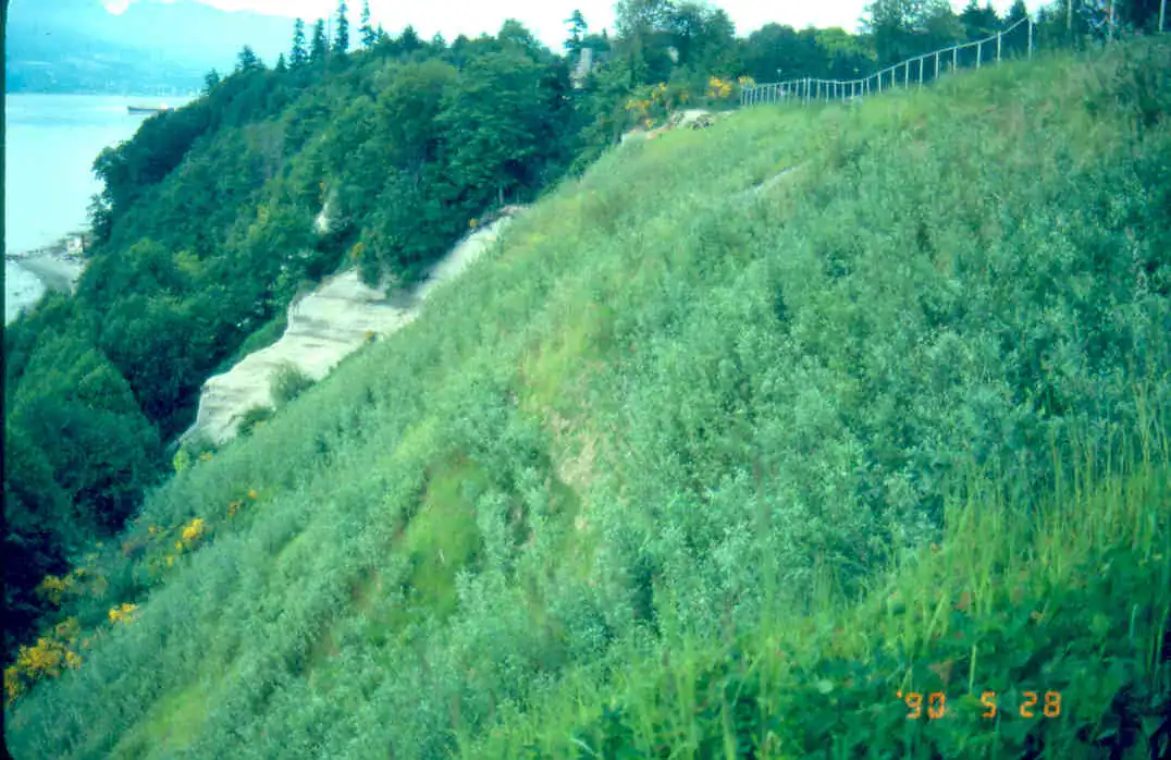 UBC Sea Cliffs: Wattle Fences representative dated field image