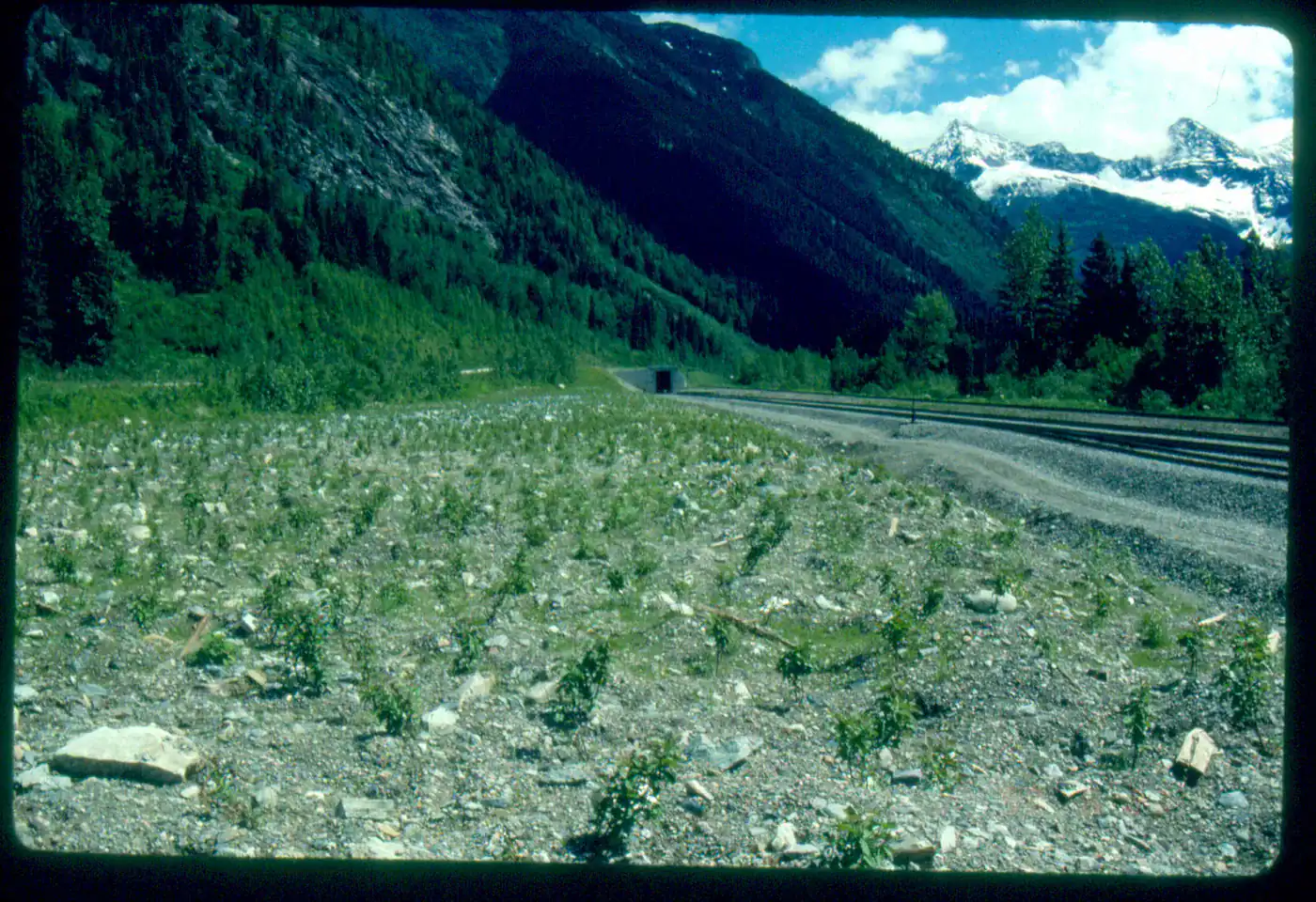 West Portal, 1989