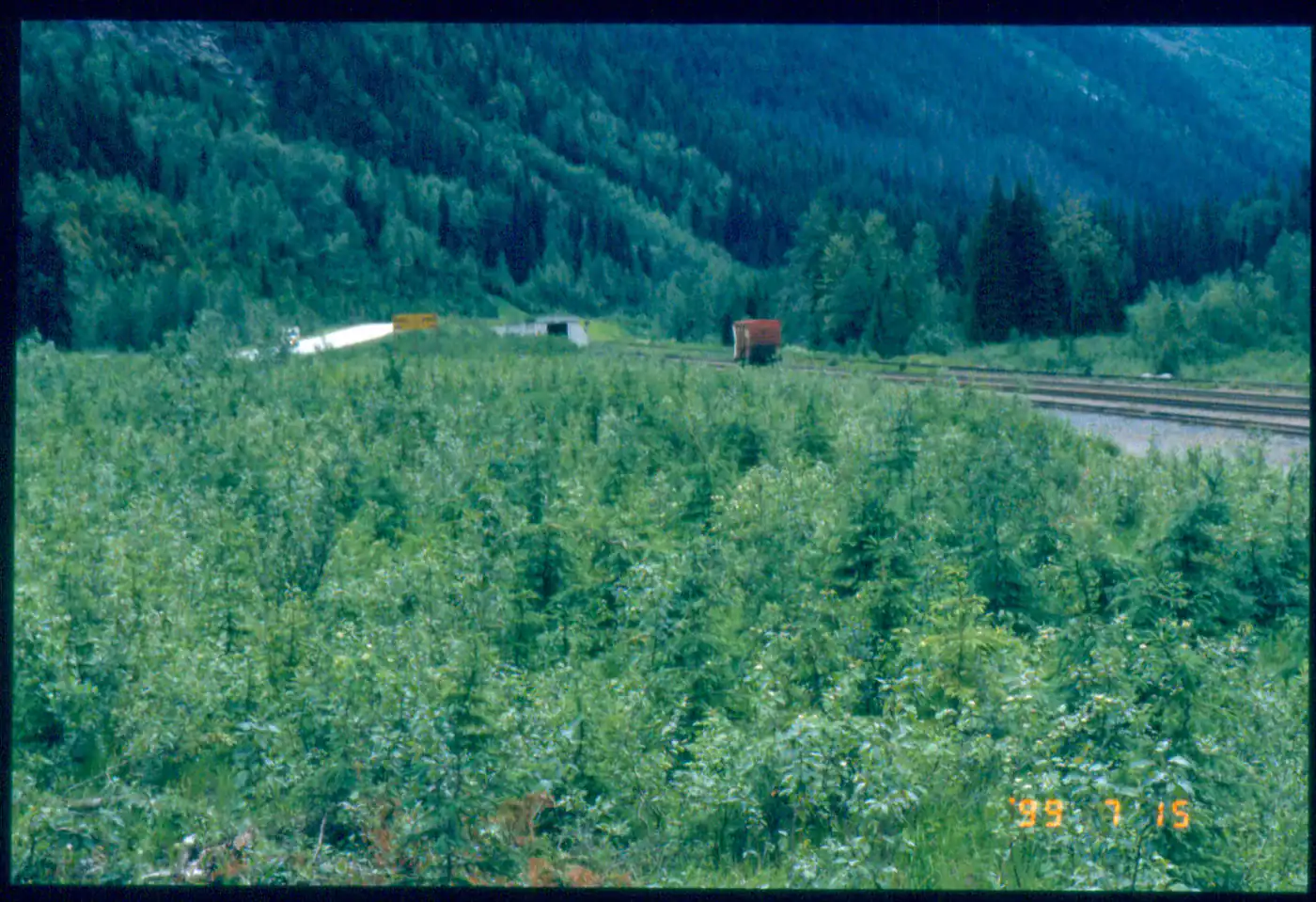 West Portal July 15, 1999