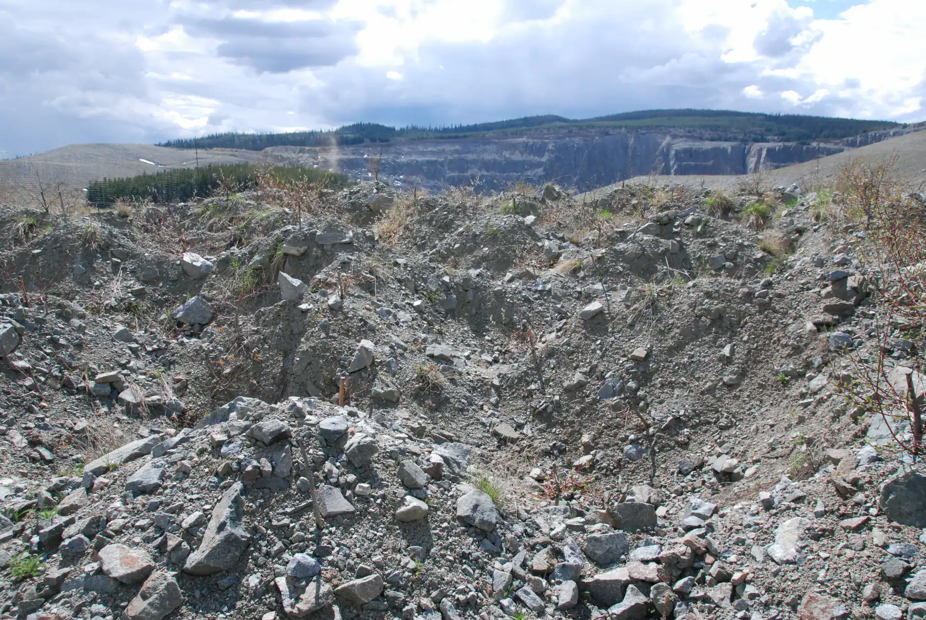 Rough uneven mine substrate with scattered young vegetation at Brenda Mine, May 18, 2015.
