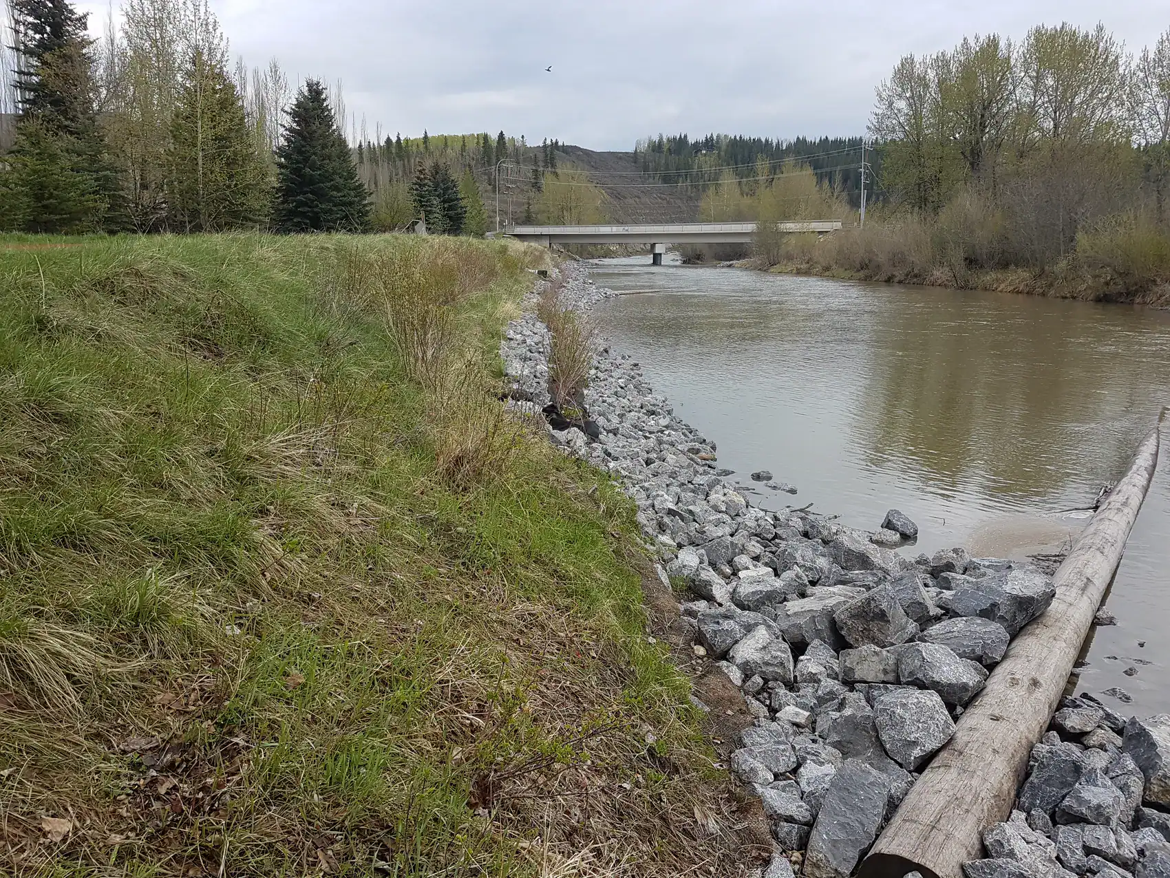 Restoration crew installing live bank protection along an eroding streambank in British Columbia.
