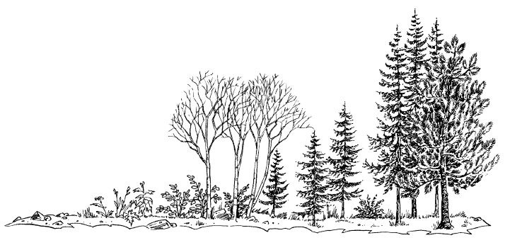 Shows how a landscape can change over time
