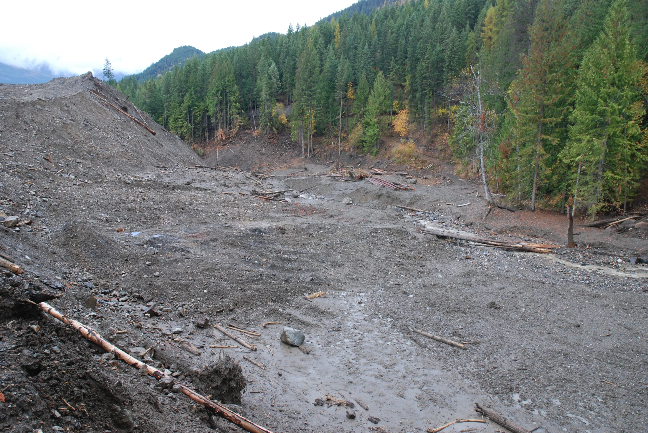Johnson's Landing landslide path before revegetation work