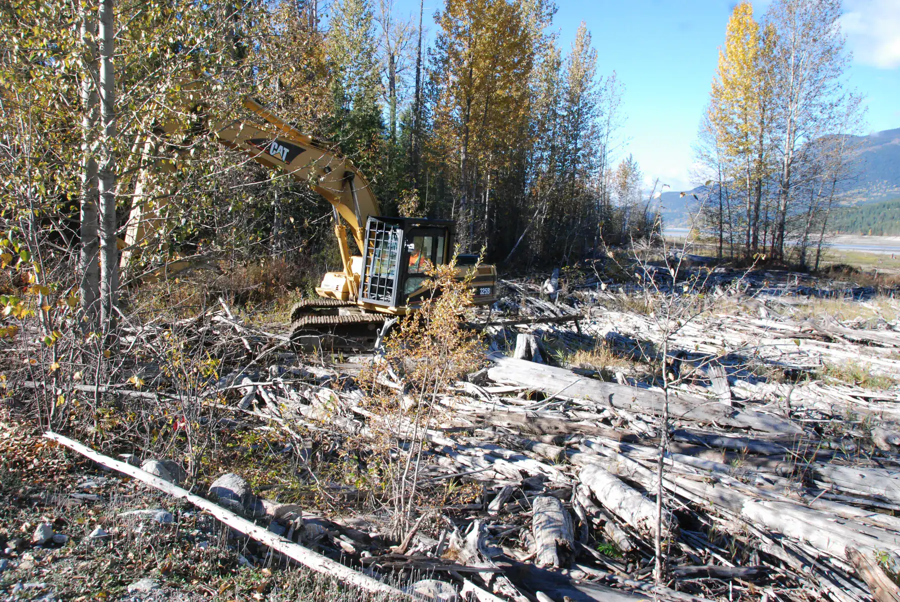 Excavator work among woody material, September 28, 2015.
