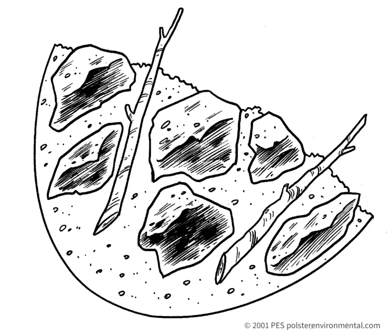A live cutting inserted through riprap into the underlying soil. Original PES diagram, copyright 2001.