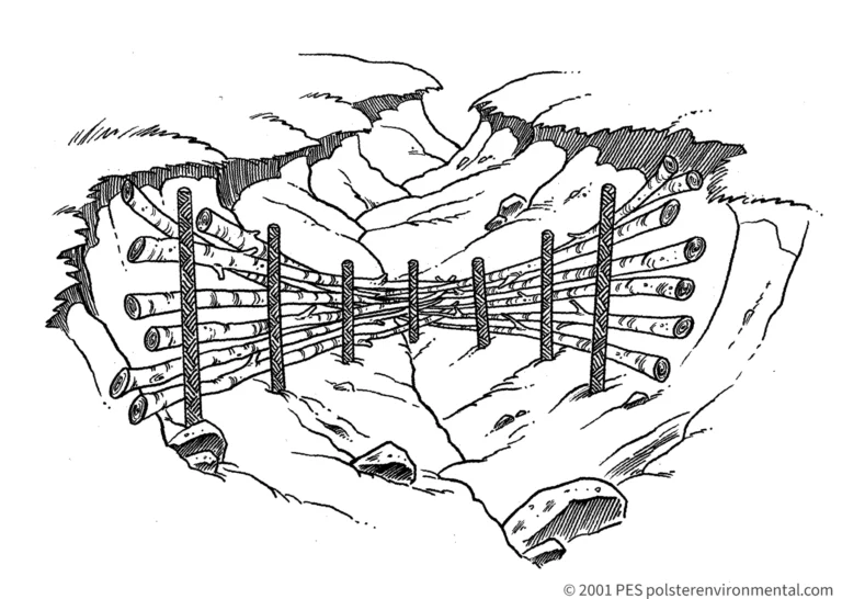 A live gully-break structure formed from woody members and upright supports. Original PES diagram, copyright 2001.