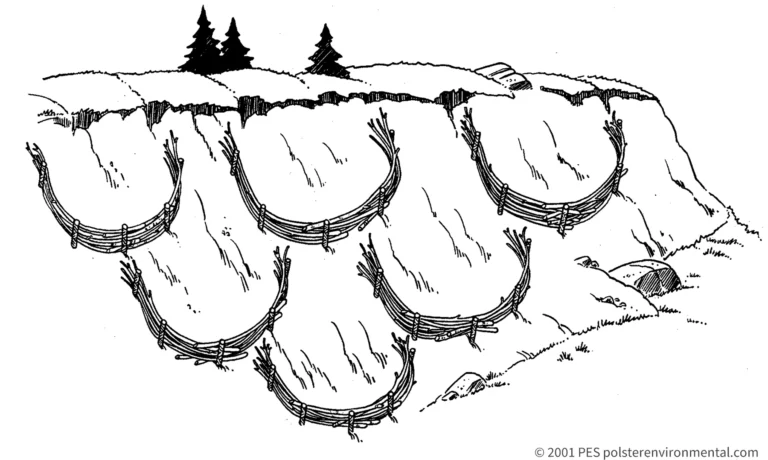 Curved live-smile brush bundles across a slope. Original PES diagram, copyright 2001.